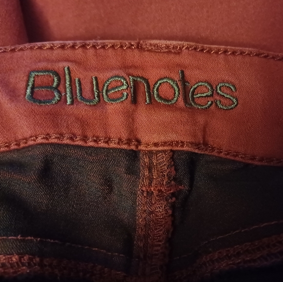 4/$60 Burgundy Curvy Jeggings - Size 28 - Picture 6 of 10